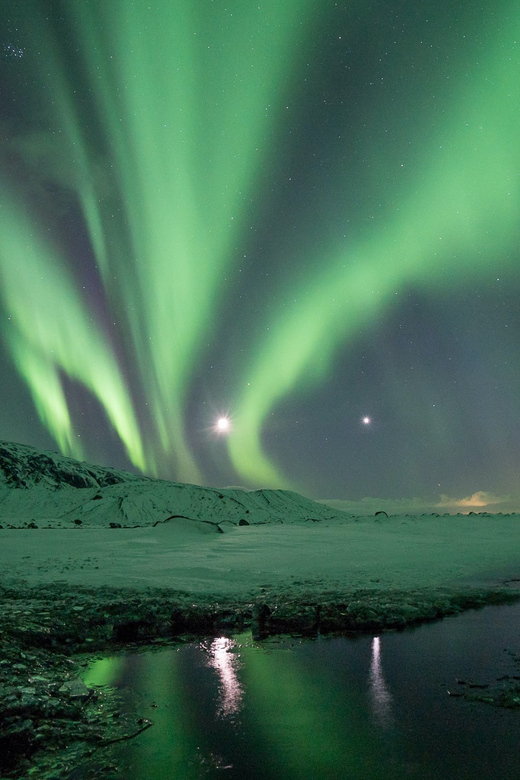 Reykjavik: Northern Lights with Icelandic Treats - Key Points Before You Go