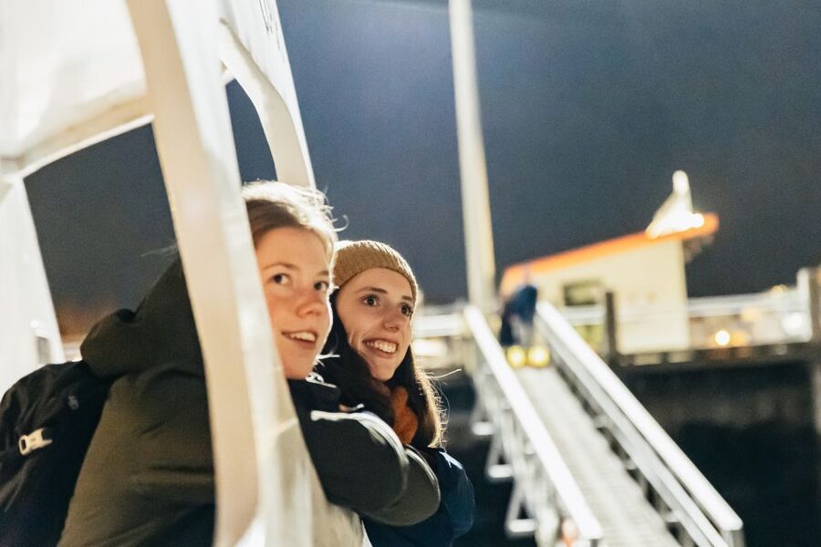 Reykjavik: Northern Lights Yacht Tour - Bonus chances: whales, meteors, and what to do if clouds win