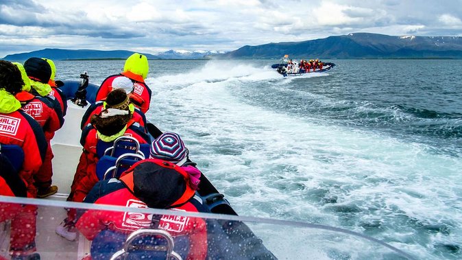 Reykjavik Premium Puffin tour | Close Up and Personal - Gear and comfort: you’re not meant to freeze