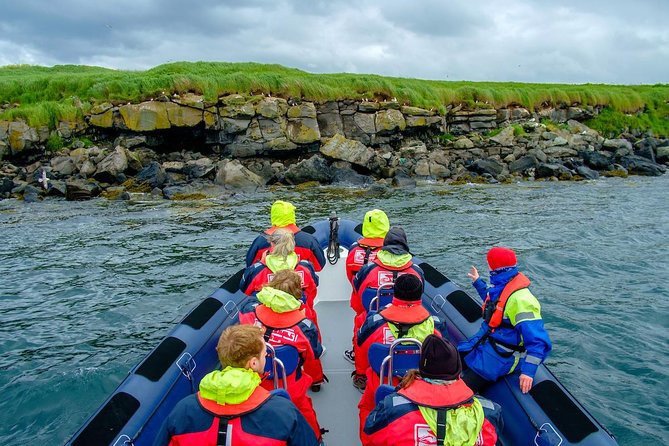 Reykjavik Premium Puffin tour | Close Up and Personal - Price and value: is $85 worth it?