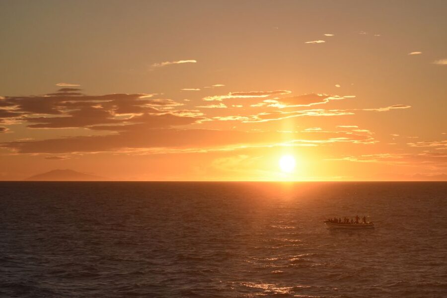Reykjavik: Premium Whale and Puffin Watching Evening Tour - Why the evening timing feels different in Reykjavík