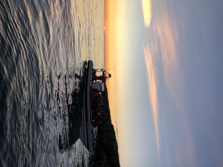 Reykjavik: Premium Whale and Puffin Watching Evening Tour - Wildlife expectations: what you can realistically hope to see