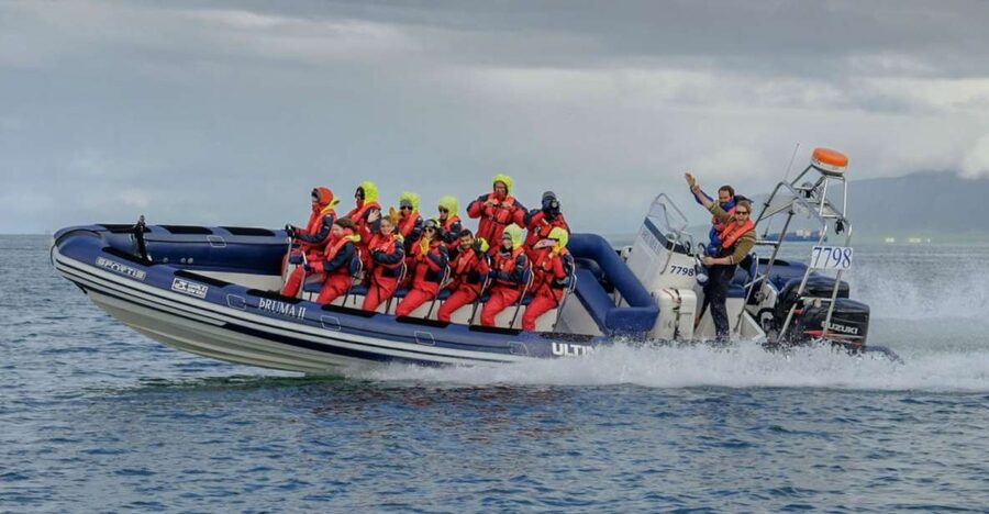 Reykjavik: Premium Whale Watching with Flexible Ticket - Humpbacks, Minke Whales, and Dolphins: Spotting Tips That Help
