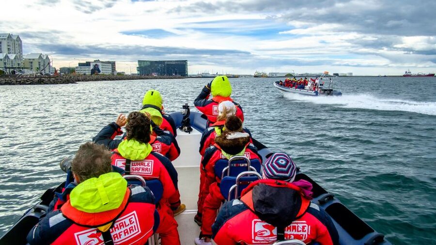 Reykjavik: Premium Whale Watching with Flexible Ticket - Puffin Watching Outside the Harbor (May to August)