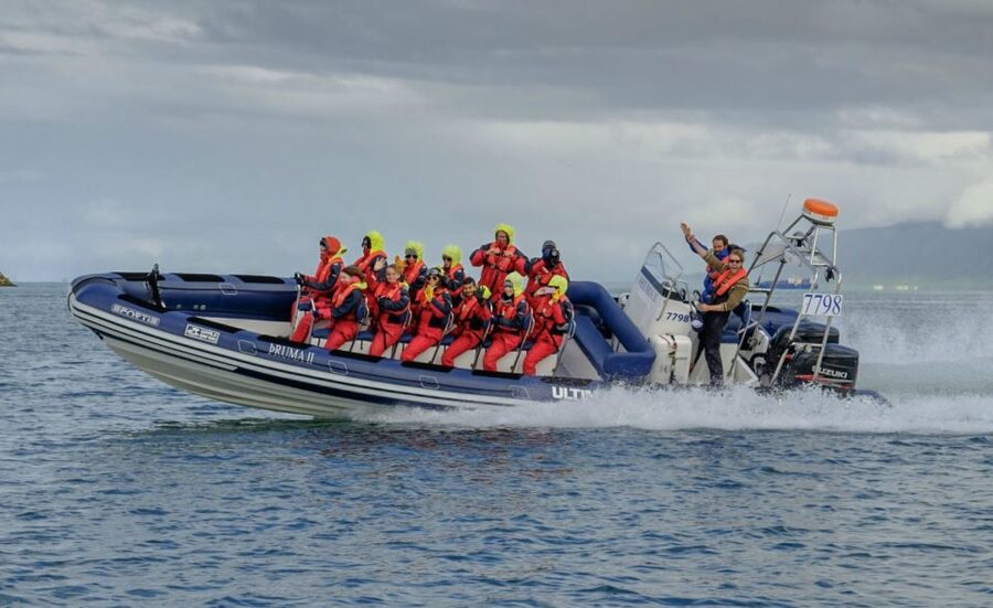Reykjavik: Premium Whale Watching with Flexible Ticket - What the 2-Hour Wildlife Cruise Is Really Like