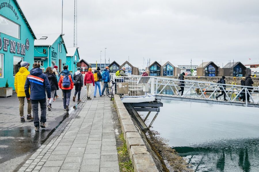 Reykjavik: Puffin Watching Boat Tour - Should You Book This Reykjavik Puffin Watching Boat Tour?