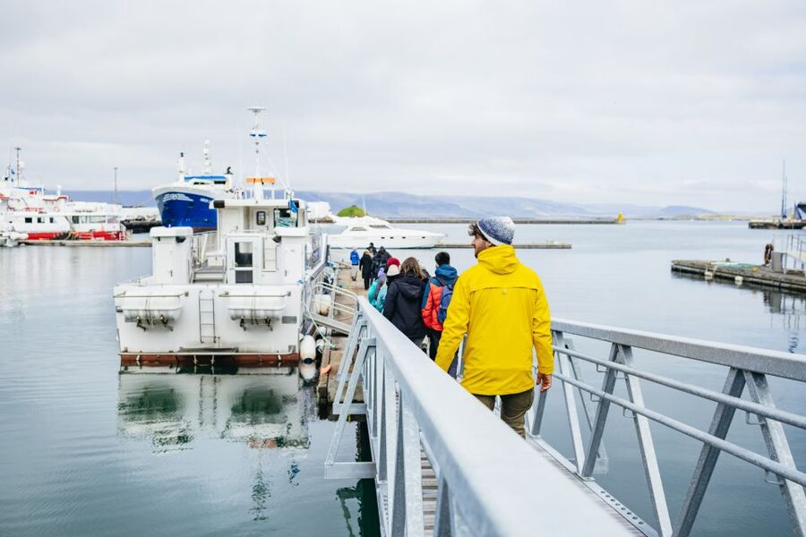 Reykjavik: Puffin Watching Boat Tour - Binoculars, Roof Seats, and Photo Reality Checks