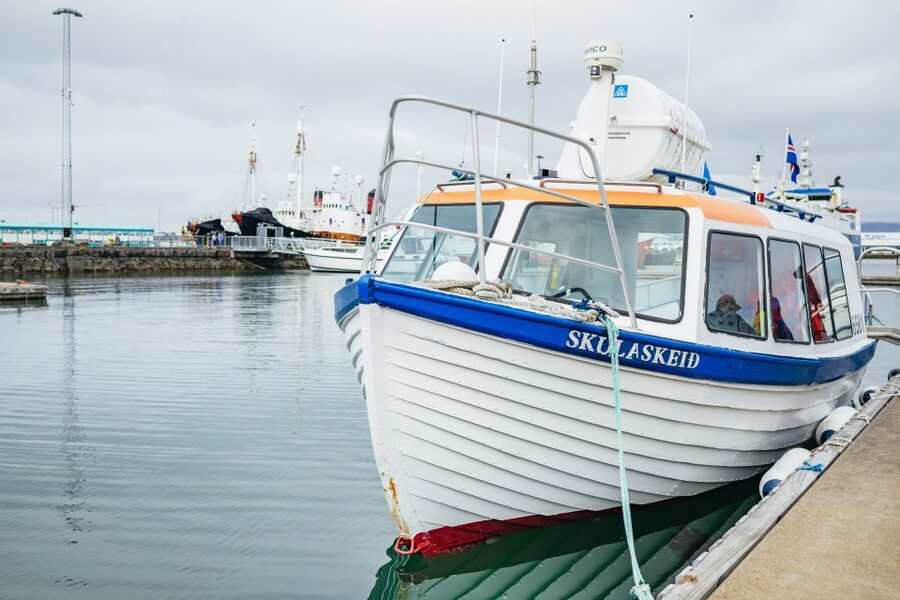 Reykjavik: Puffin Watching Boat Tour - Guides Bring the Birds to Life (Examples You May Hear)