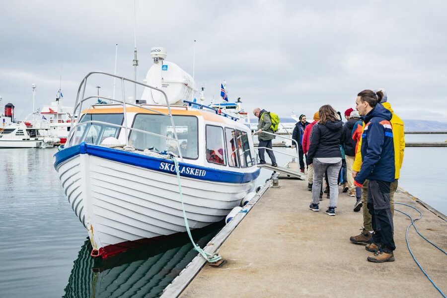 Reykjavik: Puffin Watching Boat Tour - Motion, Wind, and Hearing: The One Drawback to Plan Around
