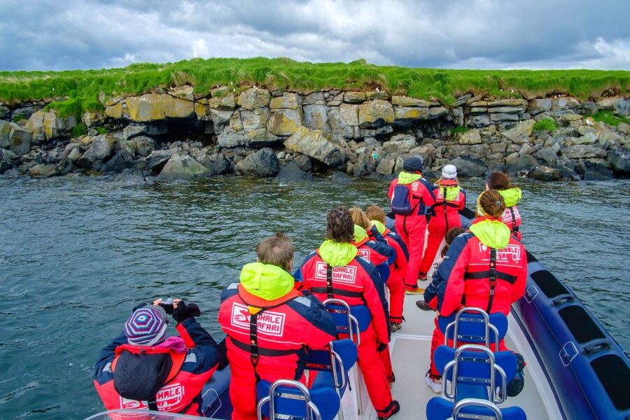 Reykjavik: Puffin Watching Tour - Faxaflói Bay and the RIB Advantage for Puffin Spotting
