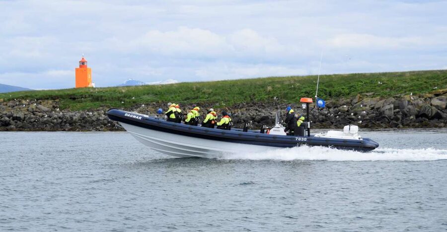 Reykjavik: Puffin Watching Tour by RIB Speedboat - Gear Included (and Why Waterproof Shoes Are the Only Big Missing Piece)