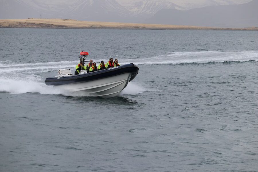 Reykjavik: Puffin Watching Tour by RIB Speedboat - The 15-Minute Ride Out: City Lights, Mountains, and a Fast Dose of Bay Air