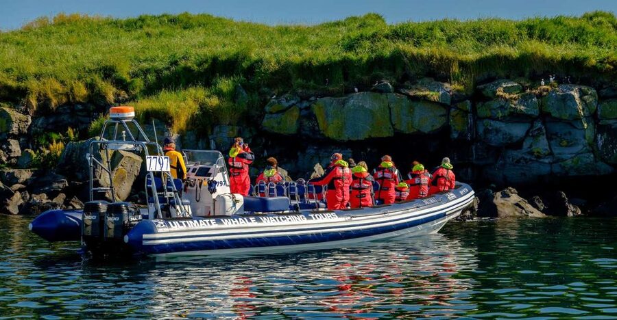 Reykjavik: Puffin Watching Tour - Old Harbour departure: where the trip starts and why it matters