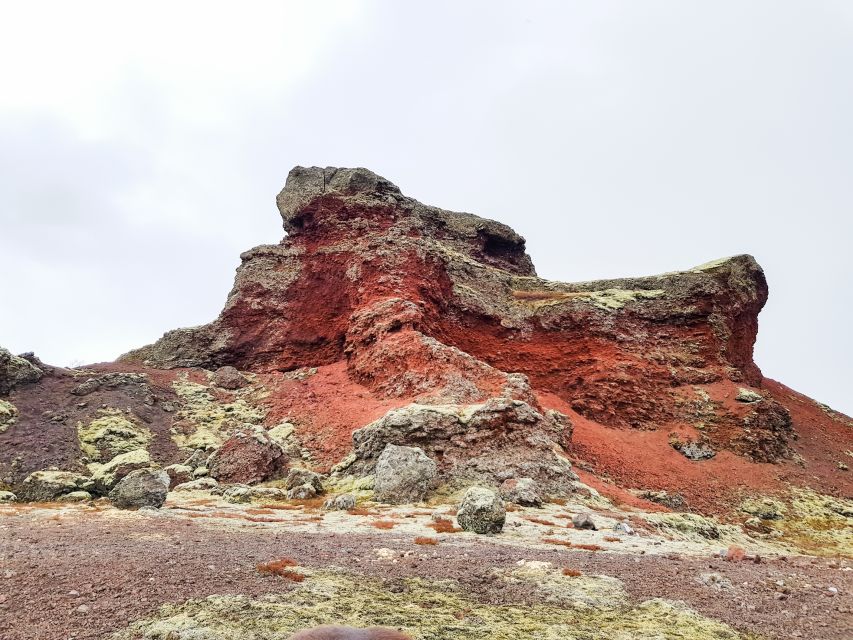Reykjavik: Red Lava Horse Riding Tour - Meeting the Horses at Sólhestar Stables (and the small stuff that matters)