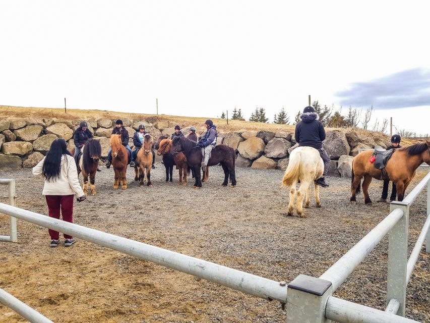 Reykjavik: Red Lava Horse Riding Tour - Gear for Iceland Weather: What’s Provided vs What You Must Bring