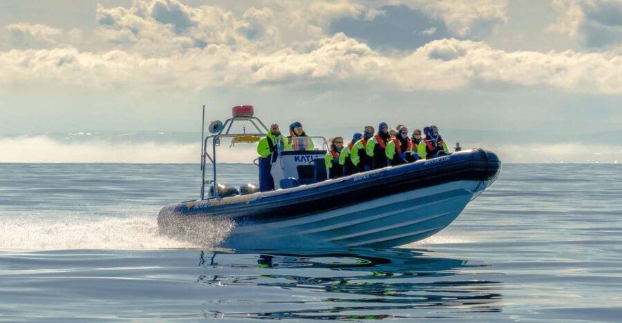 Reykjavík: RIB Speed-Boat Puffin Watching Tour - Photo strategy on a fast boat (without turning it into a stress test)