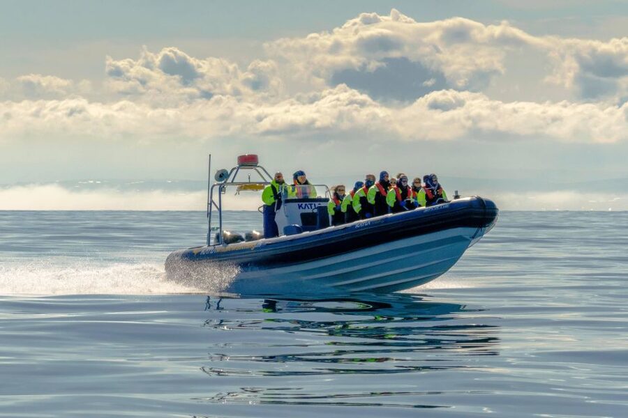 Reykjavík: RIB Speed-Boat Puffin Watching Tour - Timing and route: what you’ll do before and after spotting puffins
