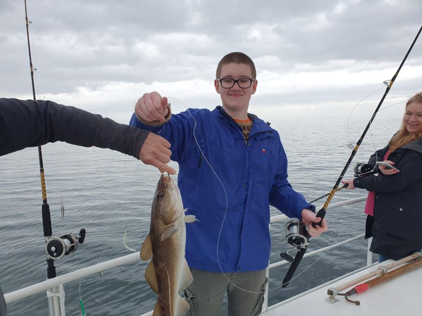 Reykjavik's Finest Catch: Guided Sea Angling Tour - Faxaflói Bay Fishing: Cod, Haddock, Pollock, and the Good Odds