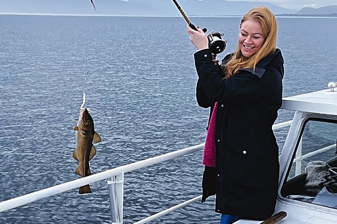 Reykjavik's Finest Catch: Guided Sea Angling Tour for All Levels - Key highlights at a glance