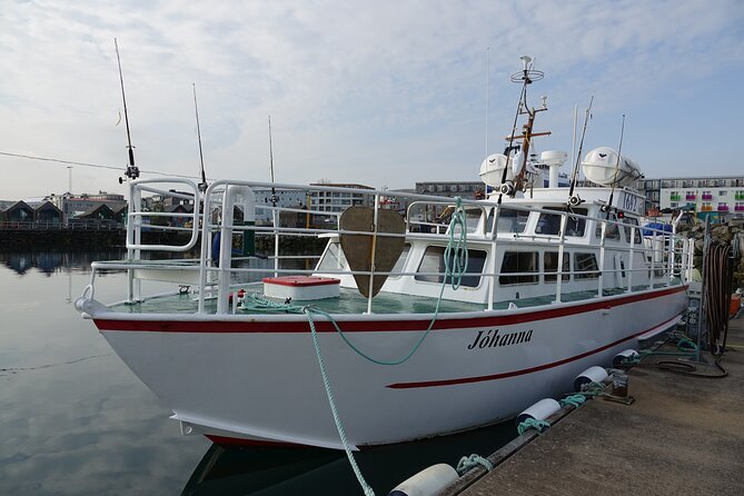 Reykjavik's Finest Catch: Guided Sea Angling Tour for All Levels - Who this tour is best for (and who should skip it)