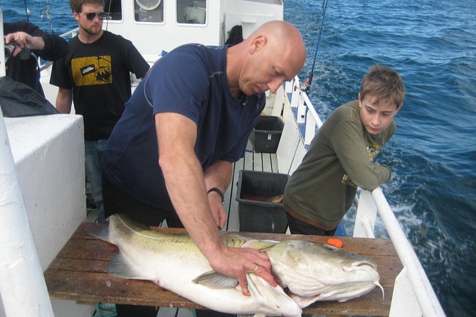 Reykjavik Sea Angling Gourmet - Sea angling from Reykjavík: the real value in a short trip