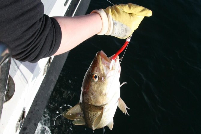 Reykjavik Sea Angling Gourmet - How the crew teaches you to fish (even with zero experience)