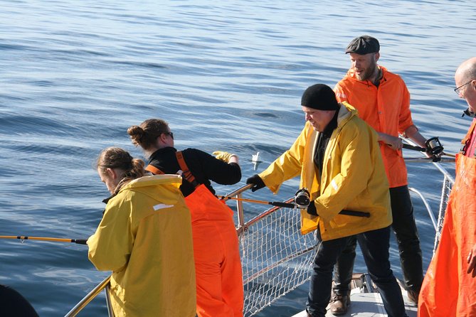 Reykjavik Sea Angling Gourmet - What you can catch in Faxaflói Bay