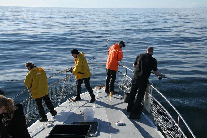 Reykjavik Sea Angling Gourmet - What to wear (and what to bring) so the trip stays fun