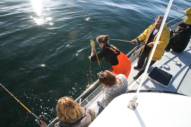 Reykjavik Sea Angling Gourmet - The 3-hour plan from Hlésgata 1 to Faxaflói Bay