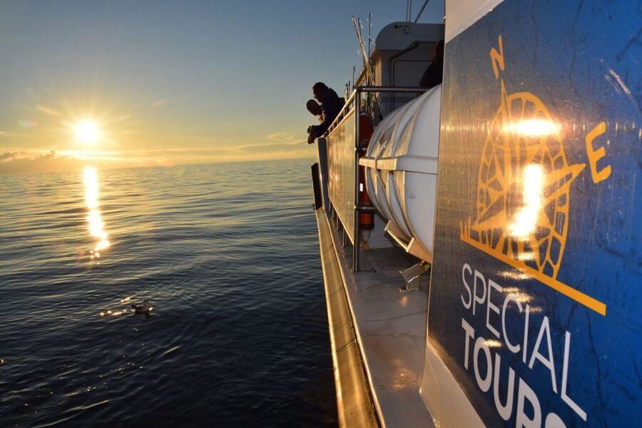 Reykjavik: Sea Fishing Boat Tour & BBQ with the Day's Catch - Key takeaways before you book