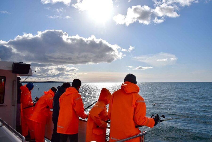 Reykjavik: Sea Fishing Boat Tour & BBQ with the Day's Catch - Should you book this Reykjavík sea fishing and BBQ tour?