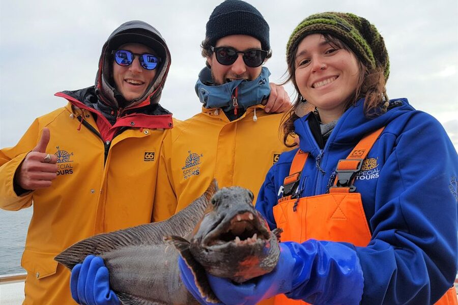 Reykjavik: Sea Fishing Boat Tour & BBQ with the Day's Catch - A practical way to prepare for a great trip