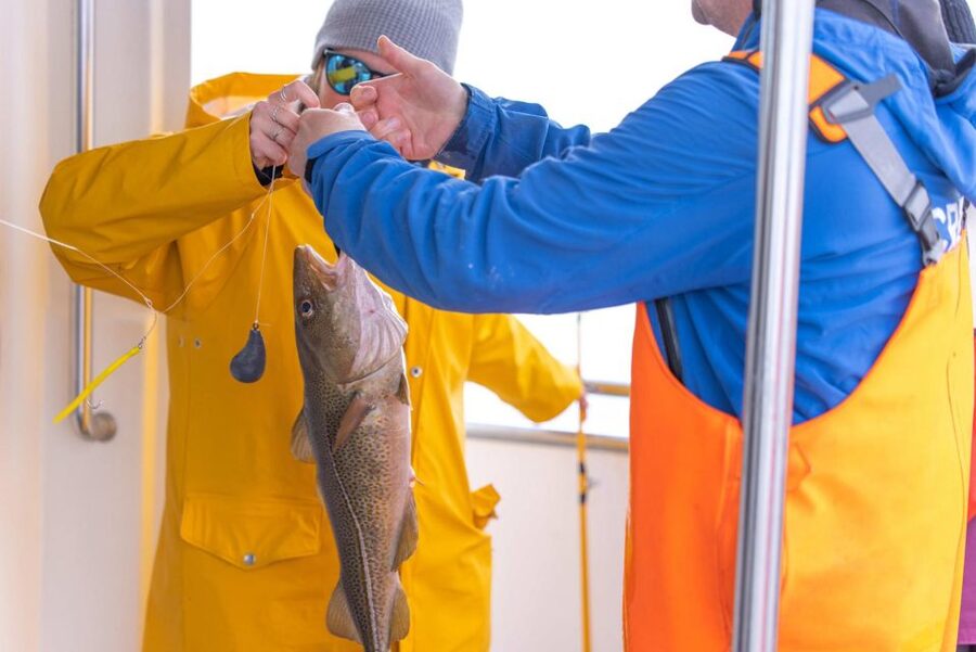 Reykjavik: Sea Fishing Boat Tour & BBQ with the Day's Catch - What you’re doing on the boat (and why it’s so much fun)