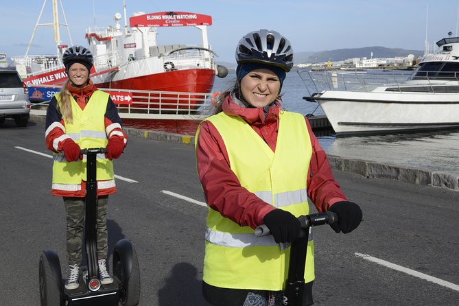 Reykjavik Segway Tour - Guides like George, Stefan, and Stephan make the ride better