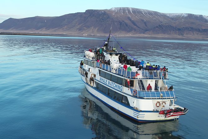 Reykjavik Shore Excursion: Whale-Watching Cruise - Thermal Overalls, Sea Sickness Tablets, and the App That Keeps You in the Loop