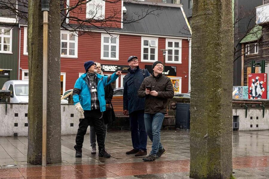 Reykjavik: Sightseeing Walking Tour with a Viking - Hallgrímskirkja: pronunciation practice plus big-city views