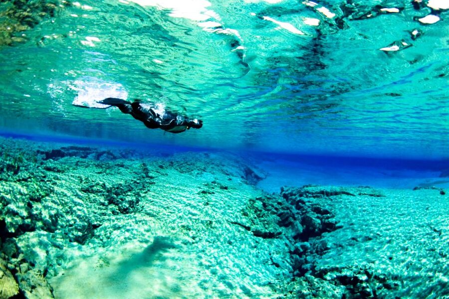 Reykjavik: Silfra Snorkeling & Lava Tunnel Adventure Combo - Price and value: is $209 per person worth it?