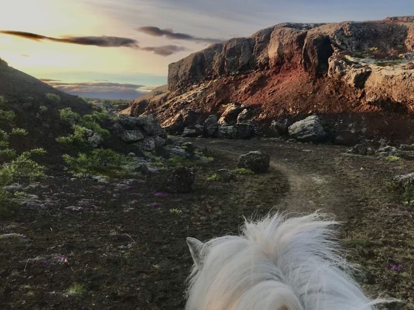 Reykjavik: Small-Group Horse Volcano Riding Tour with Pickup - From Hotel Pickup to Family Barn: What They Do First