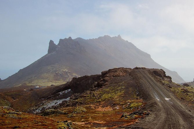 Reykjavik: Snaefellsnes National Park Small Group Trip - Ytri Tunga Beach: a short seal stop you should not skip