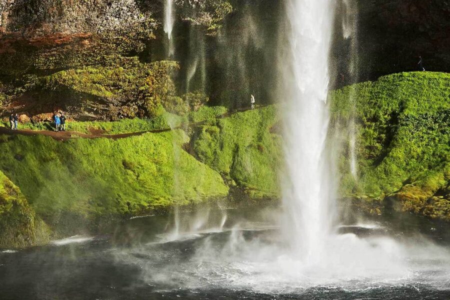 Reykjavik: South Coast, Diamond Beach, and Jökulsárlón Tour - Key things I’d circle before you book