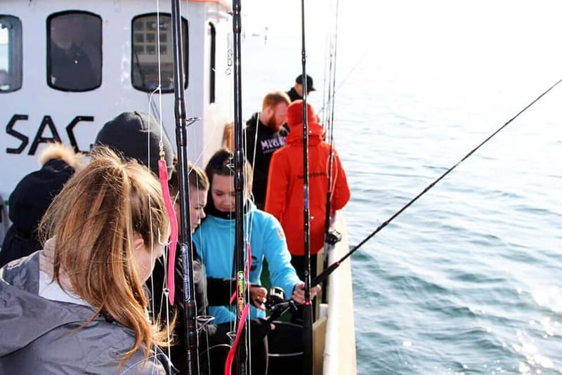 Reykjavik: Traditional Sea Fishing with BBQ Feast - Key highlights that make this tour worth your time