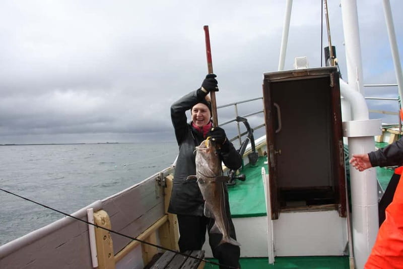 Reykjavik: Traditional Sea Fishing with BBQ Feast - Lunch onboard: what you eat and why it feels special