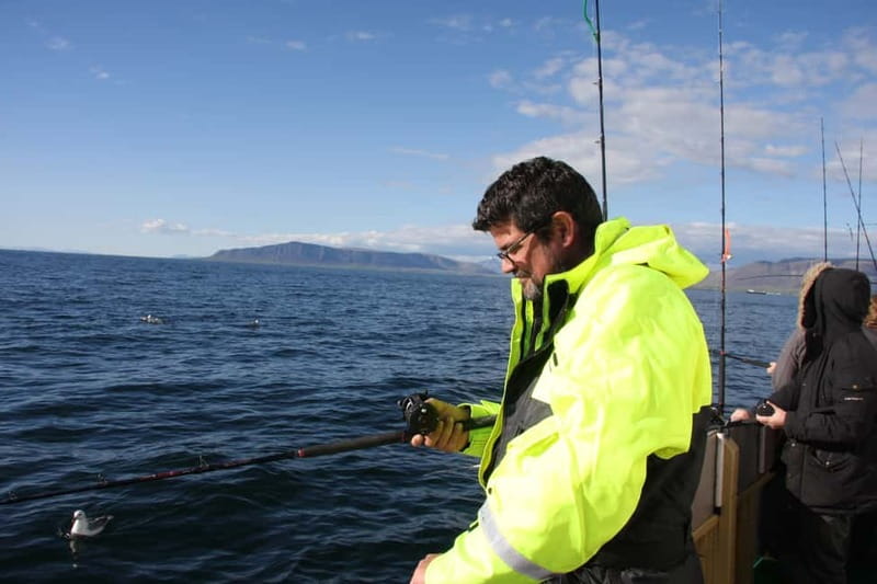 Reykjavik: Traditional Sea Fishing with BBQ Feast - Weather, clothing, and motion sickness: practical tips that actually help