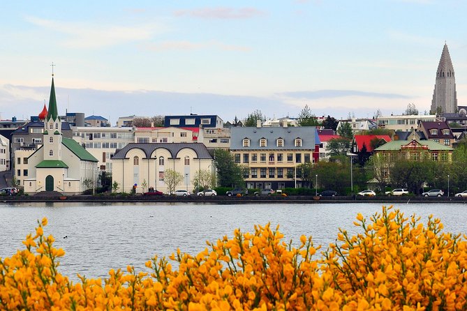 Reykjavik Walking Tour - Walk with a Viking - What to wear and when to go (weather is part of the deal)