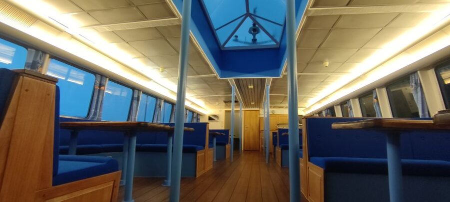 Reykjavik: Whale & Marine Adventure Tour - Who This Tour Fits Best (and Who Might Want to Skip)