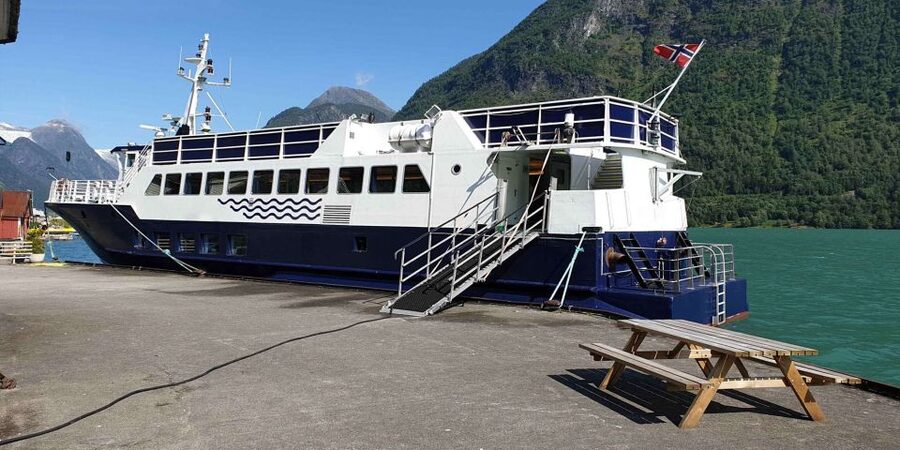 Reykjavik: Whale & Marine Adventure Tour - Warm-Comfort Boat Setup: Heated Cabin, Restrooms, and Wi‑Fi