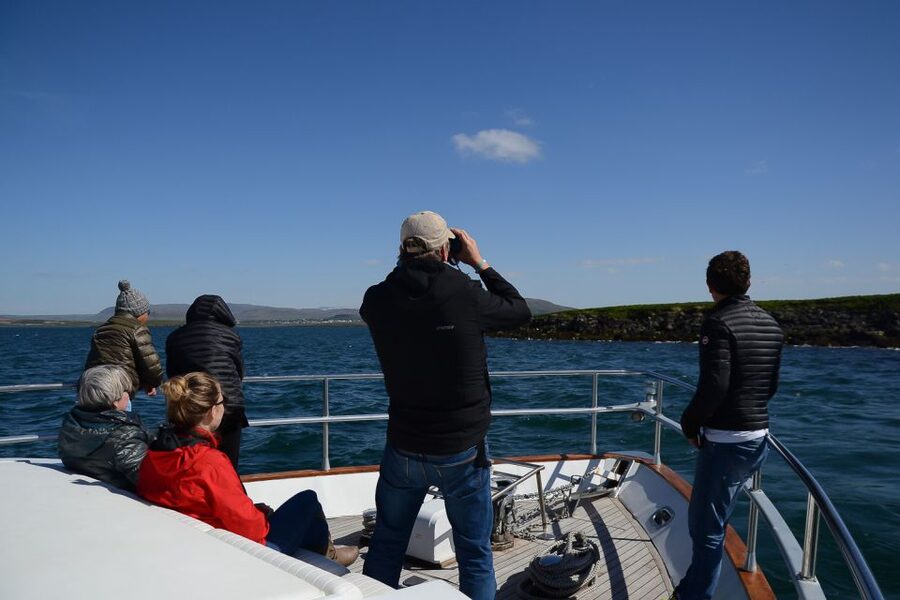 Reykjavik: Whale Watching and Dolphin Watching Yacht Cruise - Meeting Point: The Fastest Way to Find the Boat