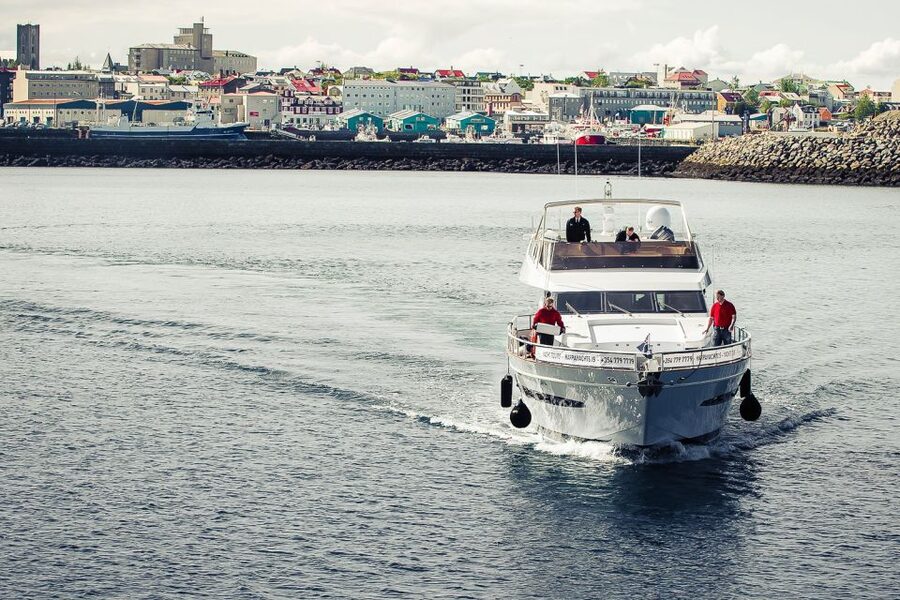 Reykjavik: Whale Watching and Dolphin Watching Yacht Cruise - Reykjavik Whale Watching That Actually Feels Personal
