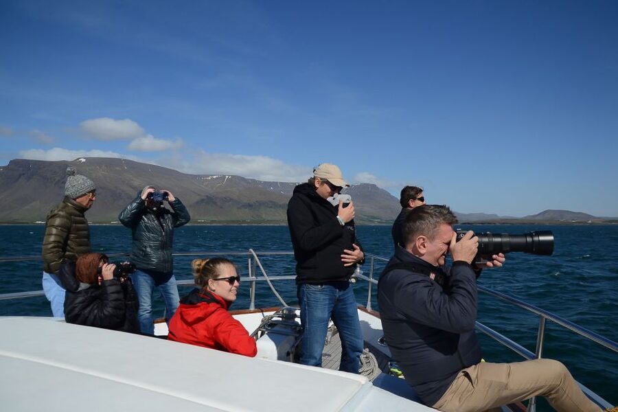Reykjavik: Whale Watching and Dolphin Watching Yacht Cruise - Where This Cruise Fits Best in Your Iceland Plan