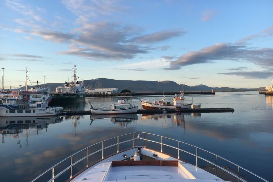 Reykjavik: Whale Watching and Dolphin Watching Yacht Cruise - The Yacht Comfort: MY Harpa vs MY Amelia Rose